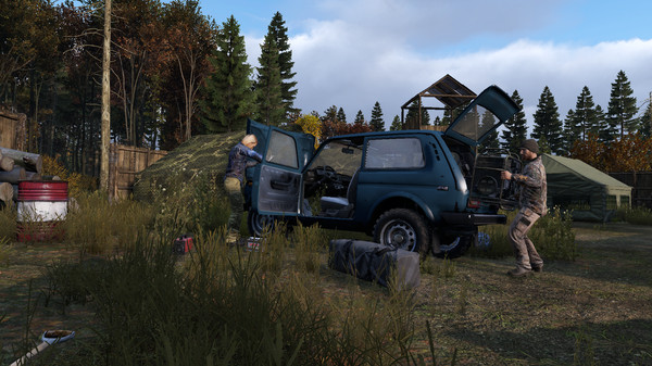 dayz